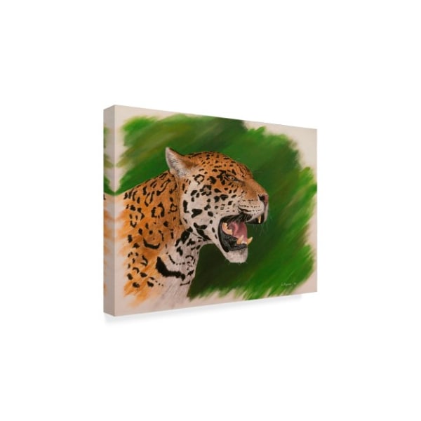 Luis Aguirre 'Power Leopard' Canvas Art,18x24